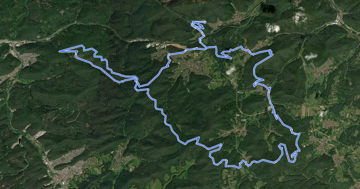 Маршрут Waldläufer Marathon на спутниковом снимке