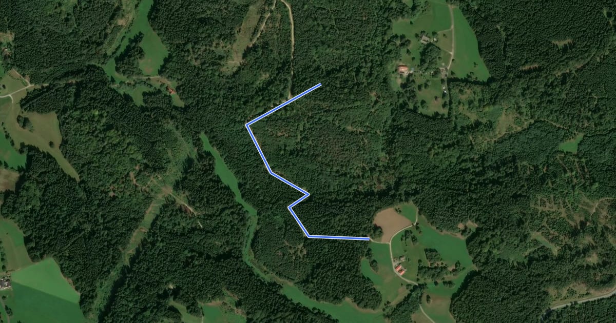 Маршрут Waldlehrpfad на спутниковом снимке