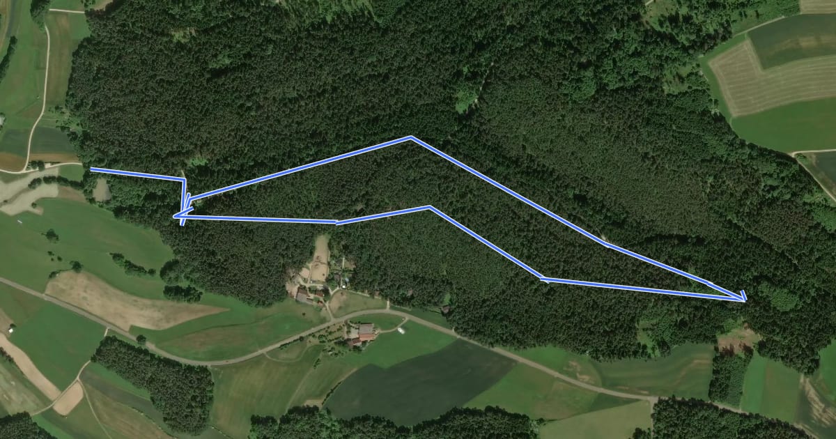 Маршрут Waldlehrpfad Eiselbach на спутниковом снимке