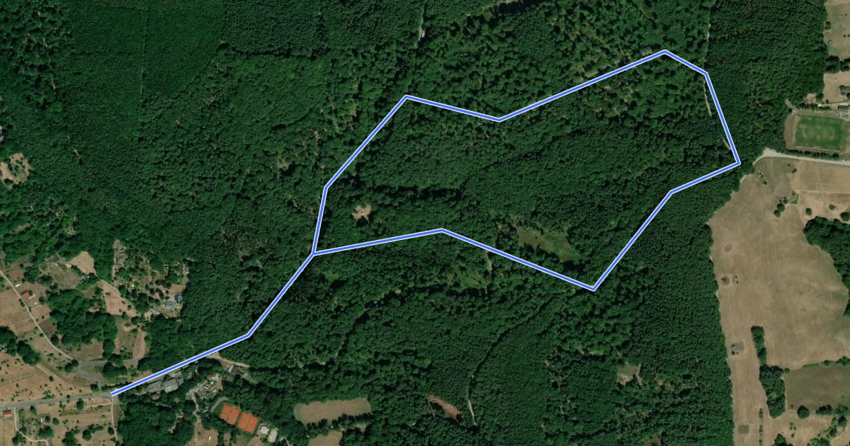 Маршрут Waldlehrpfad Kleinwallstadt на спутниковом снимке