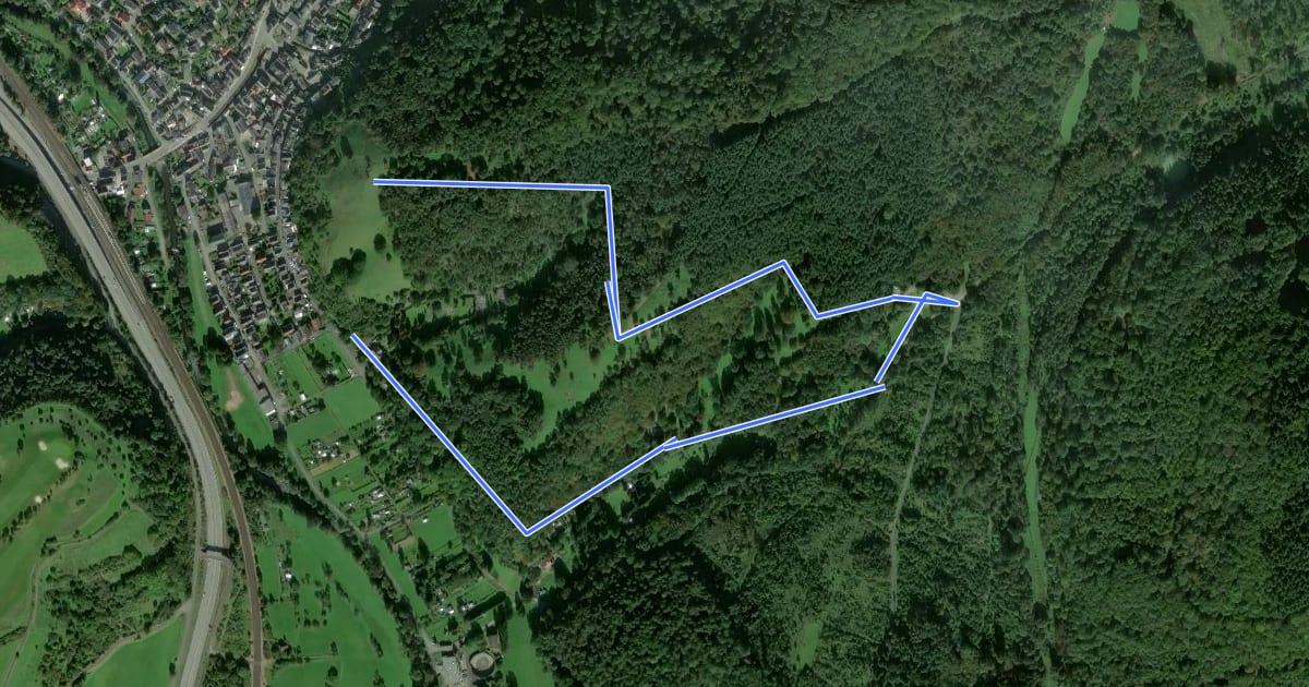 Маршрут Waldlehrpfad Niederscheld на спутниковом снимке