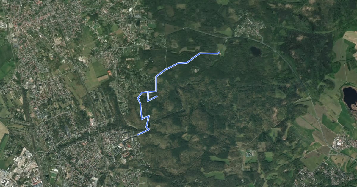 Маршрут Waldlehrpfad Spitzgrund Nordweg на спутниковом снимке