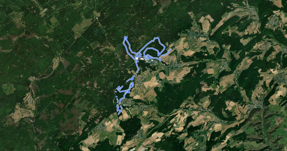 Маршрут Waldmeister MTB на спутниковом снимке
