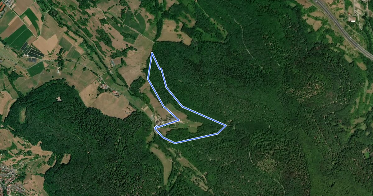 Маршрут Waldmichelbacher Rundweg на спутниковом снимке