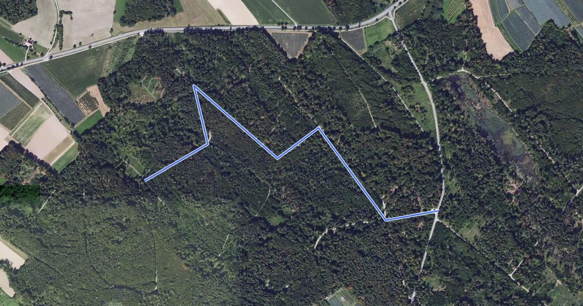 Маршрут Waldparkplatz Weingarten - Hagnau на спутниковом снимке