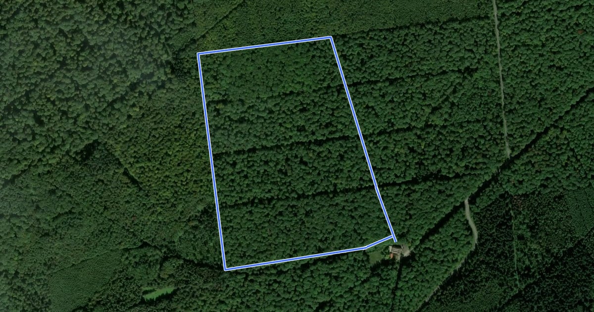 Маршрут Waldpfad Vorholz на спутниковом снимке