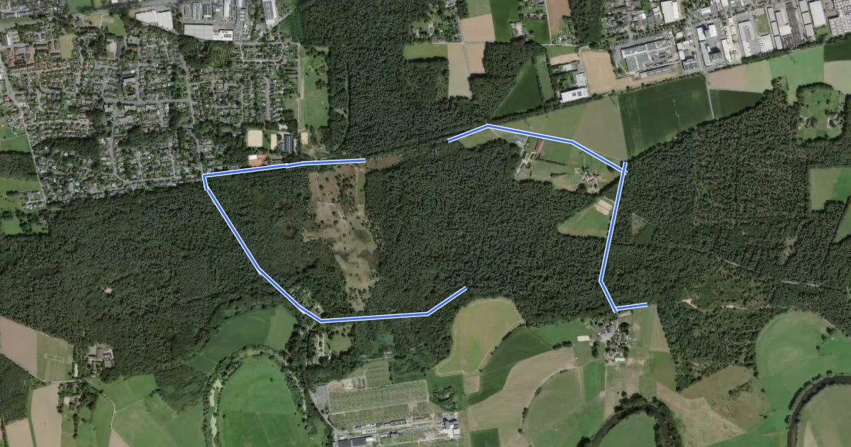 Маршрут Waldreitbahn Rundweg A1 на спутниковом снимке