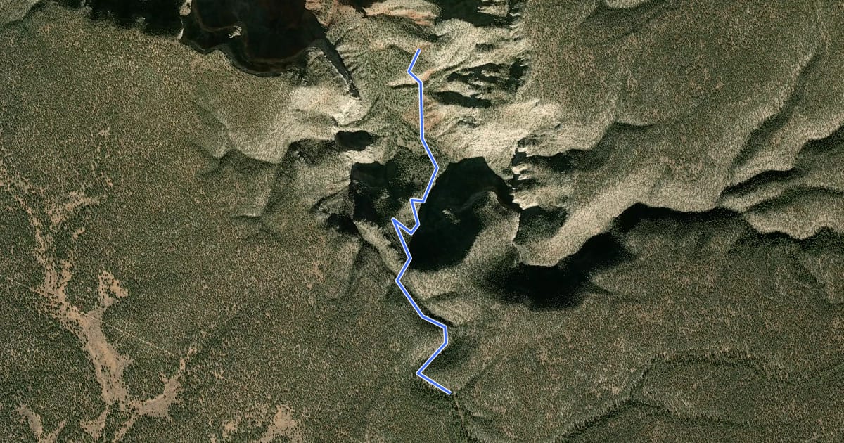 Маршрут Waldron Trail на спутниковом снимке