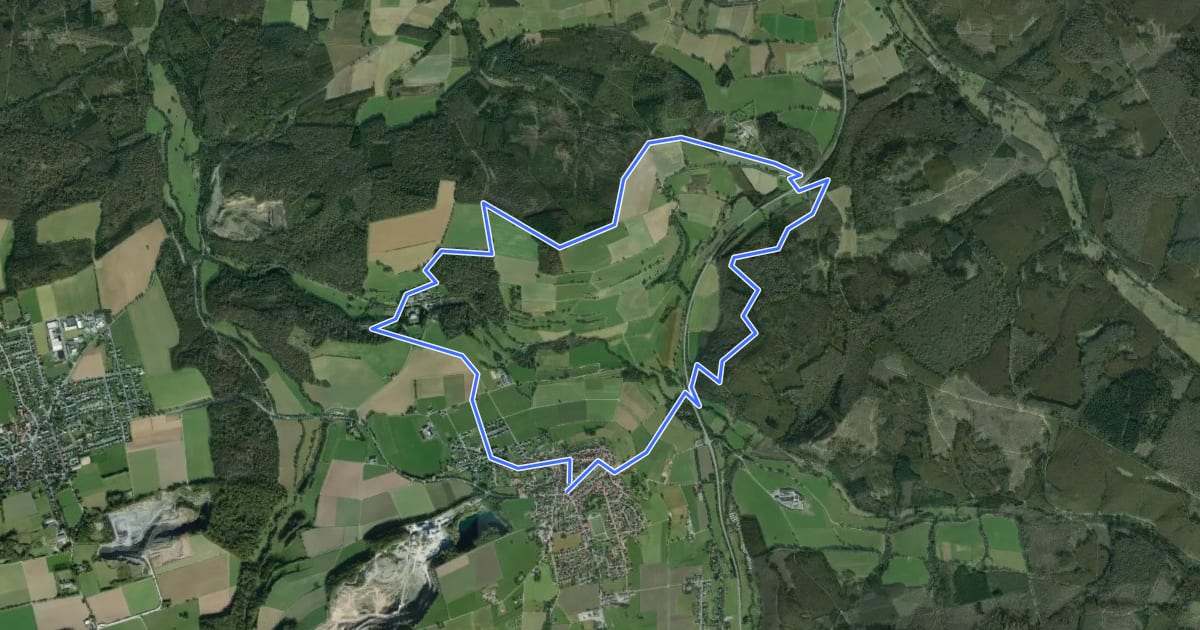 Маршрут Waldroute - Schloss-Route на спутниковом снимке