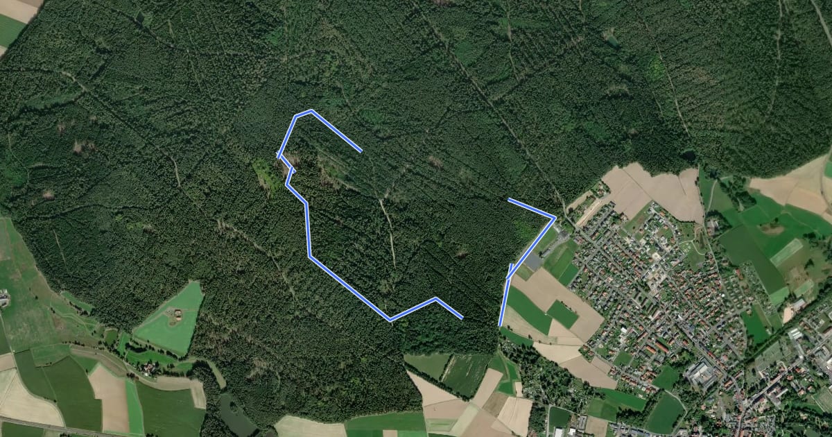 Маршрут Waldsassener Rundwanderweg 1 - Walderlebnispfad Glasberg на спутниковом снимке