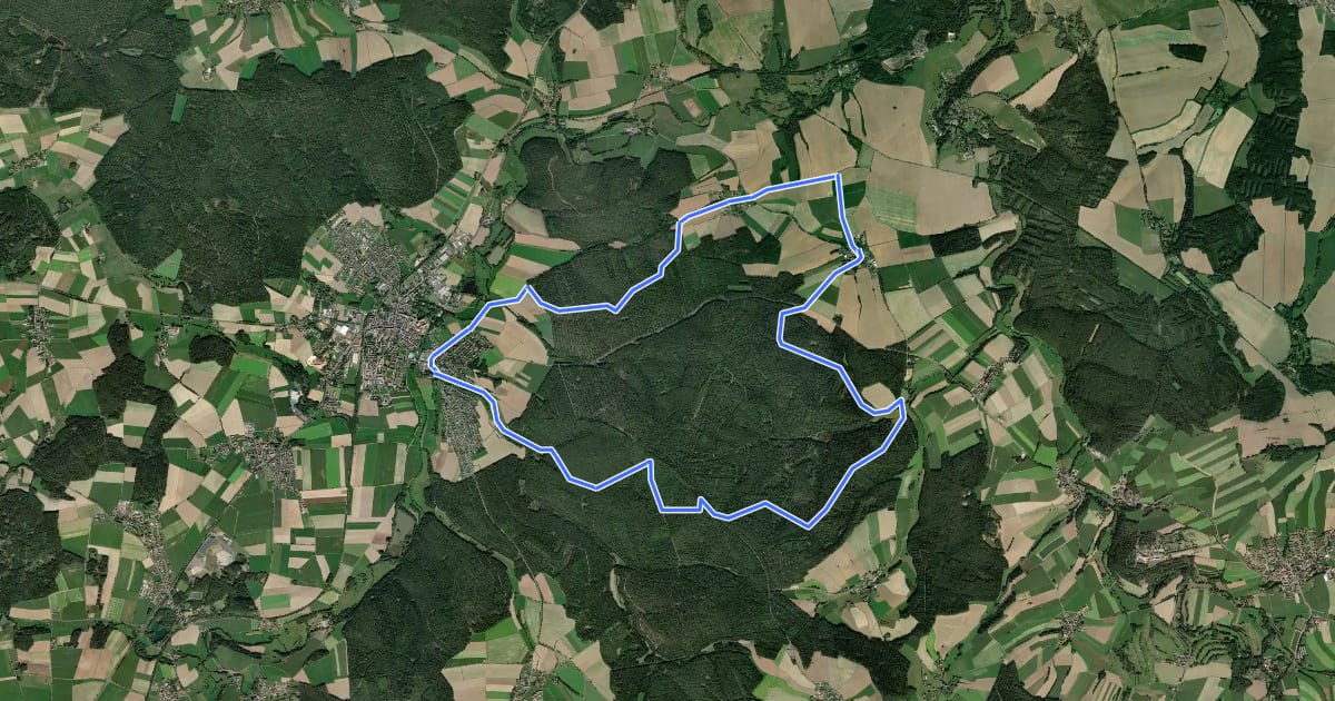 Маршрут Waldsassener Rundwanderweg 6 - Zur Pfudermühle und nach Hatzenreuth на спутниковом снимке