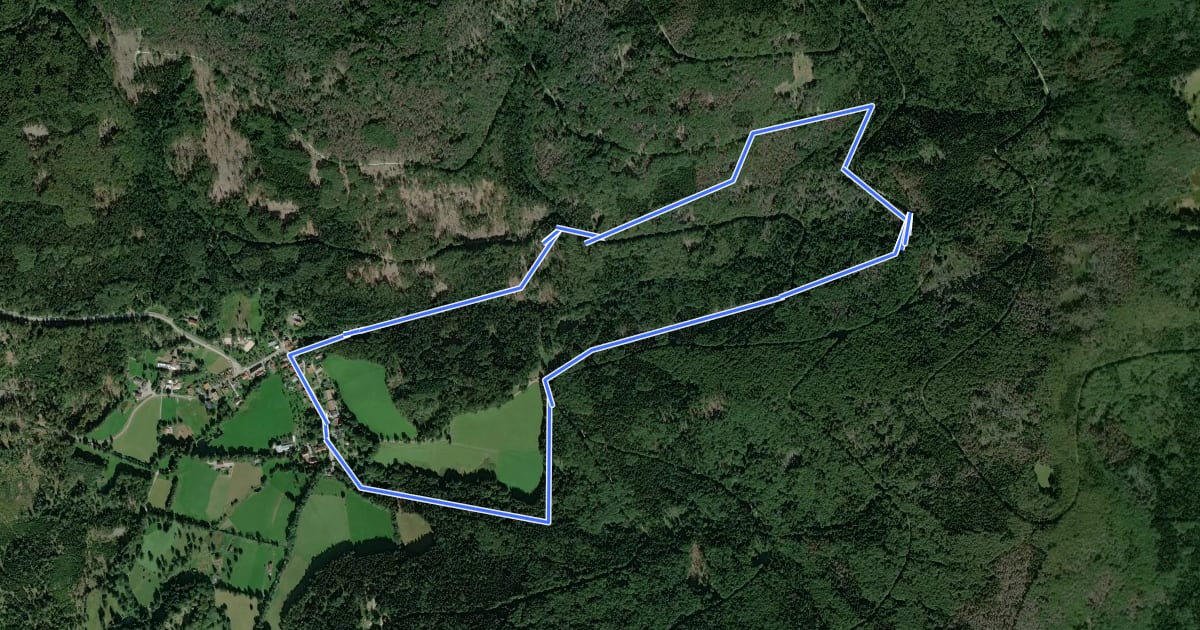 Маршрут Waldschnepfe на спутниковом снимке