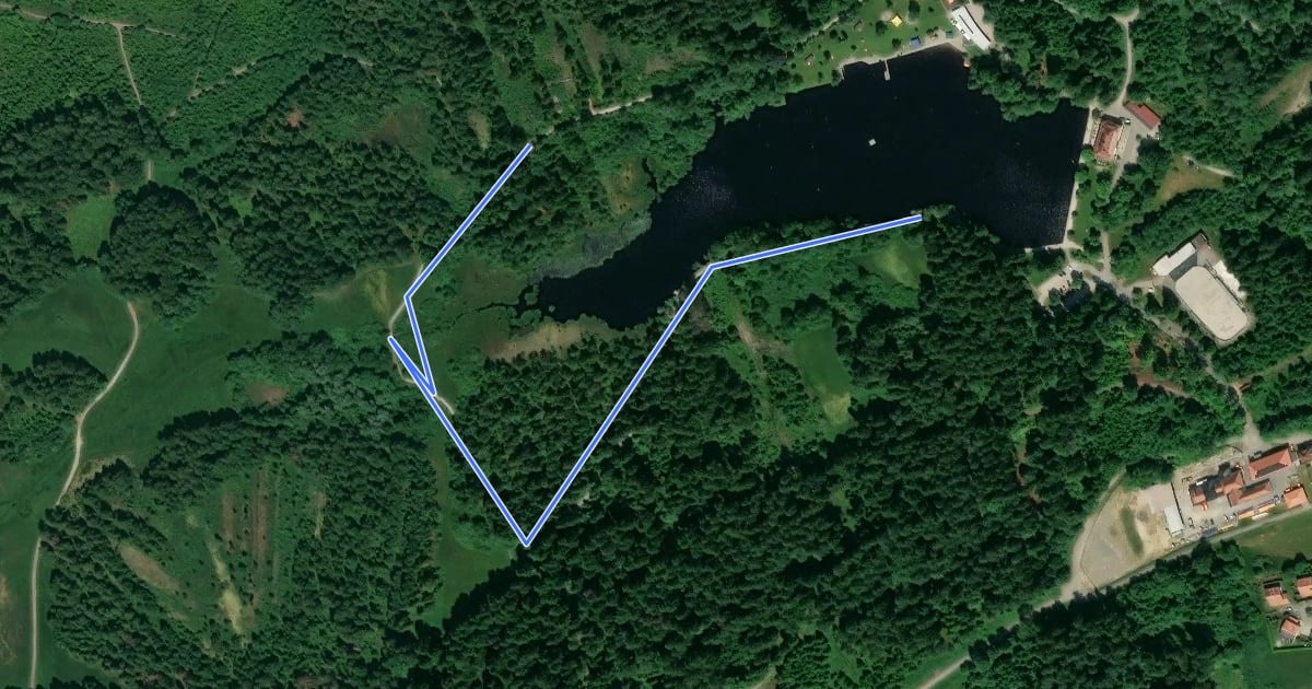 Маршрут Waldsee Rundwanderweg на спутниковом снимке