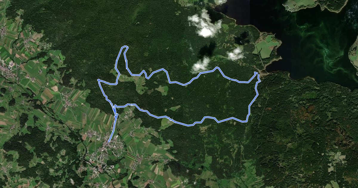 Маршрут Waldsteig на спутниковом снимке