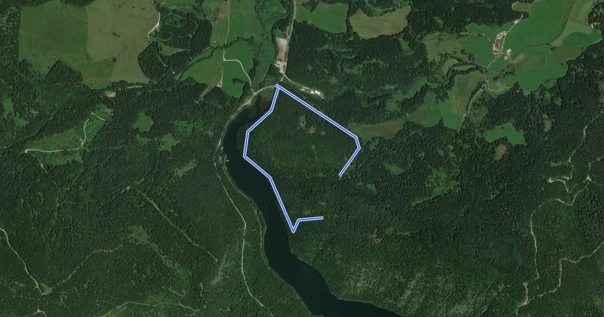 Маршрут Waldsteig на спутниковом снимке