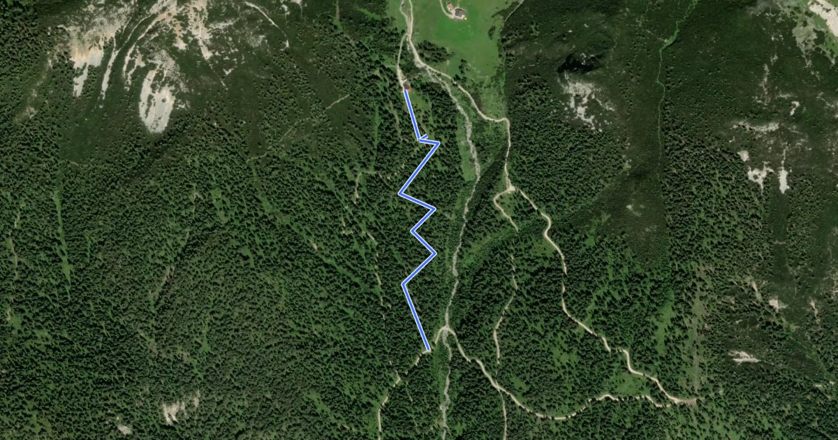 Маршрут Waldsteig Wettersteinhütte на спутниковом снимке