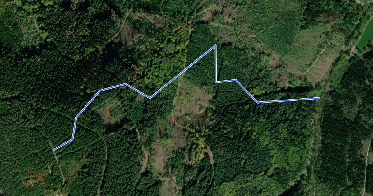 Маршрут Waldstraße DH на спутниковом снимке