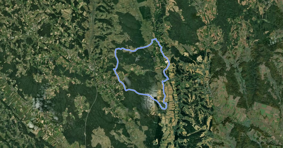 Маршрут Waldtour на спутниковом снимке