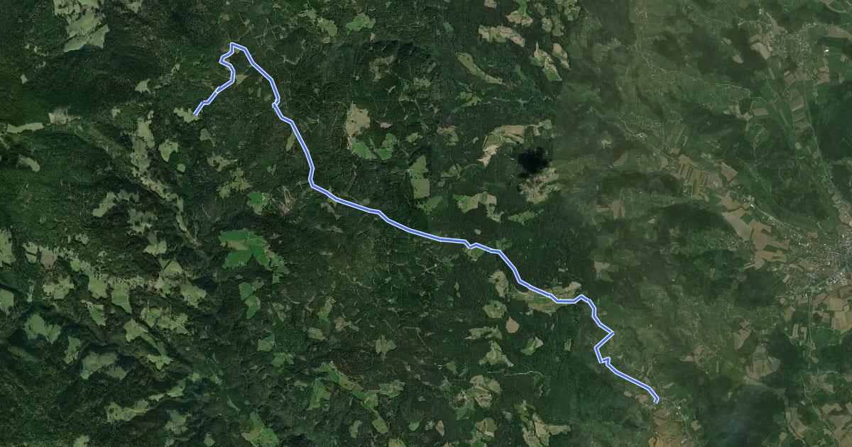 Маршрут Waldwanderweg на спутниковом снимке