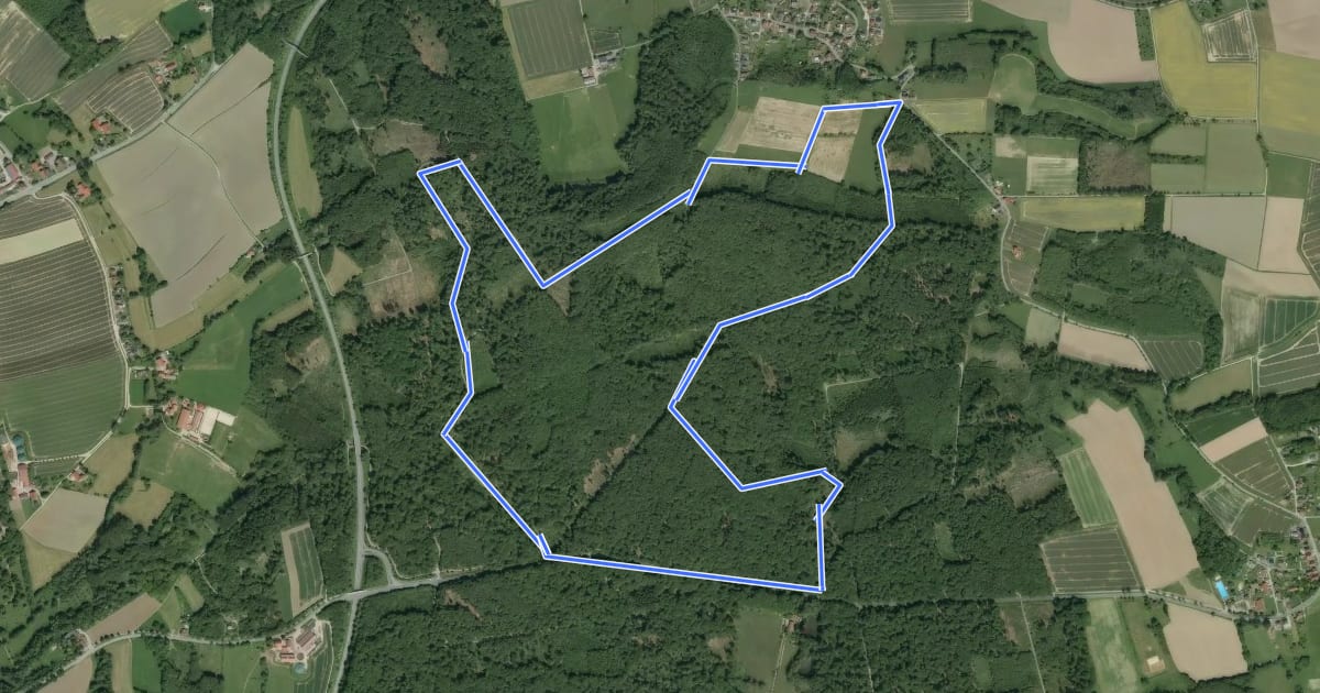 Маршрут Waldweg на спутниковом снимке