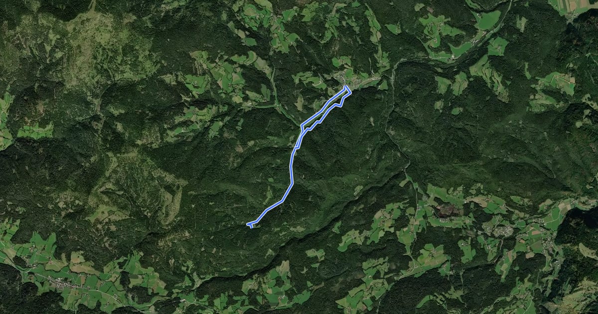 Маршрут Waldweg на спутниковом снимке