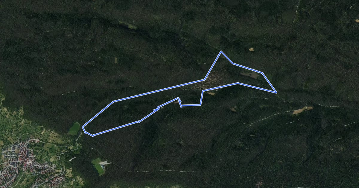 Маршрут WaldWeide на спутниковом снимке