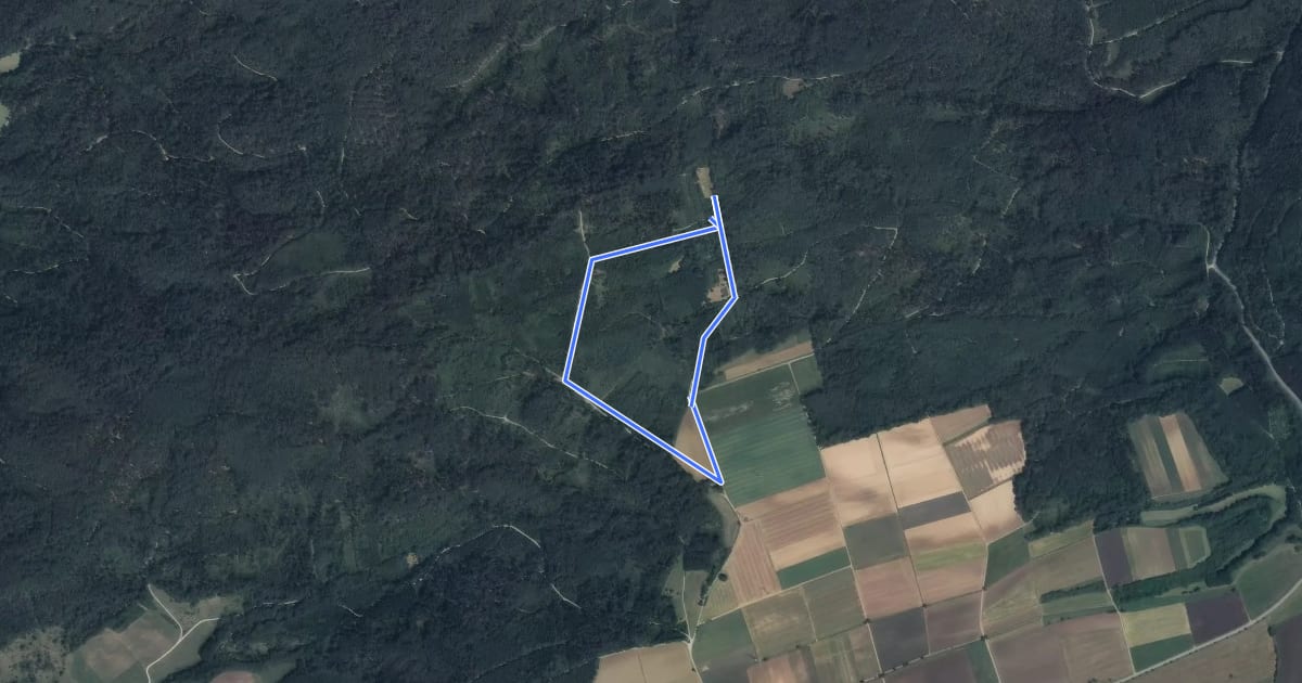 Маршрут Waldweihnachtsweg Grosselfingen (nur Advent - 6.1.) на спутниковом снимке