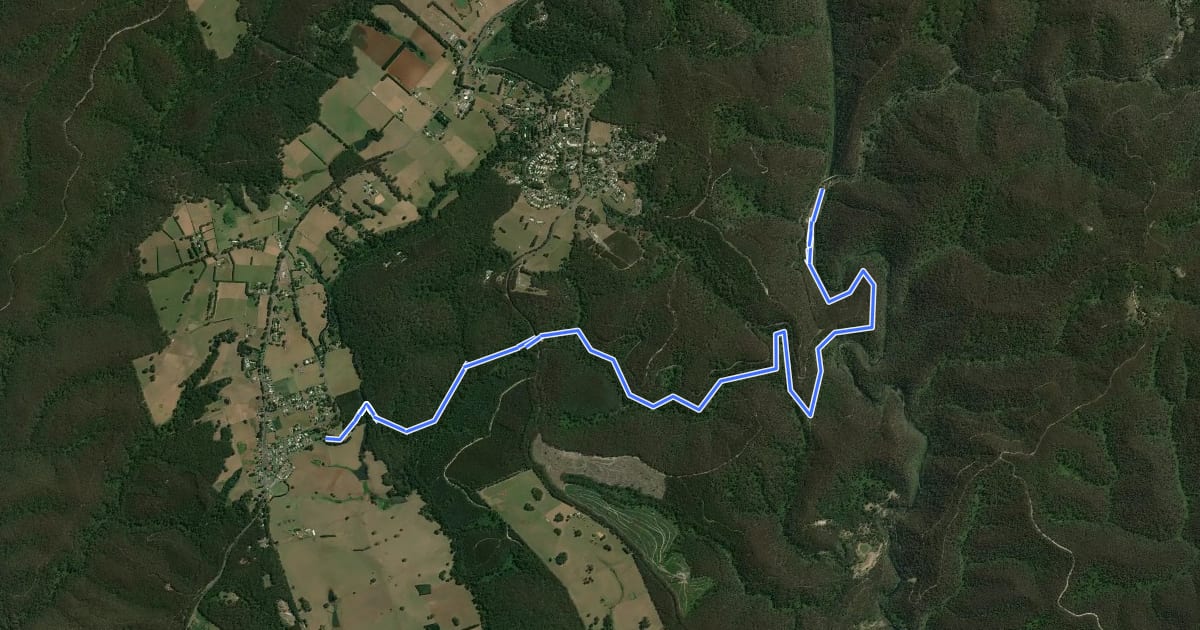 Маршрут Walhalla Rail Trail на спутниковом снимке