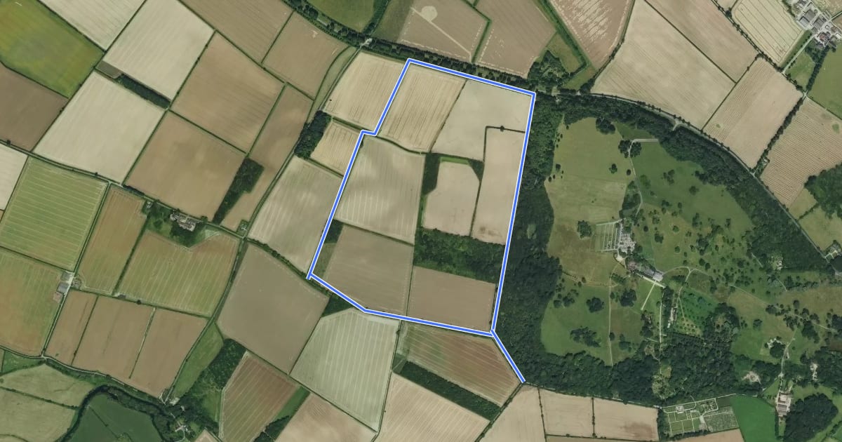 Маршрут Walk at the Beech Avenue and Droves, Kingston Lacy на спутниковом снимке