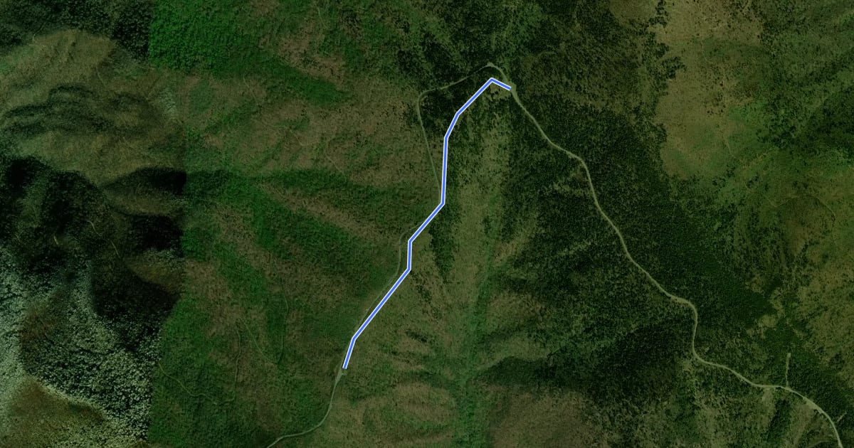 Маршрут Walker Knob Overlook на спутниковом снимке