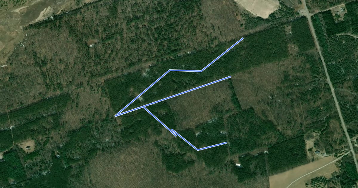 Маршрут Walker Woods Trails на спутниковом снимке