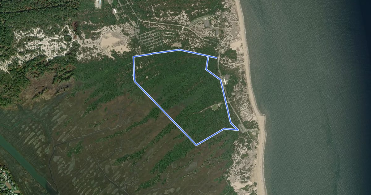 Маршрут Walking Dunes Trail на спутниковом снимке