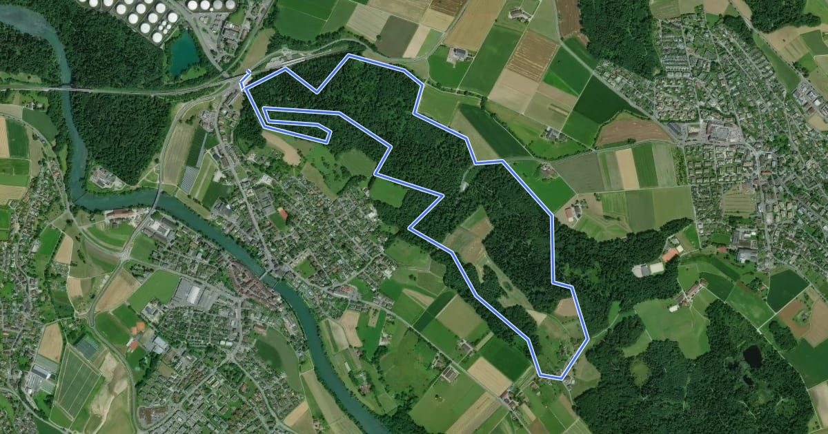 Маршрут Walking Trail R на спутниковом снимке