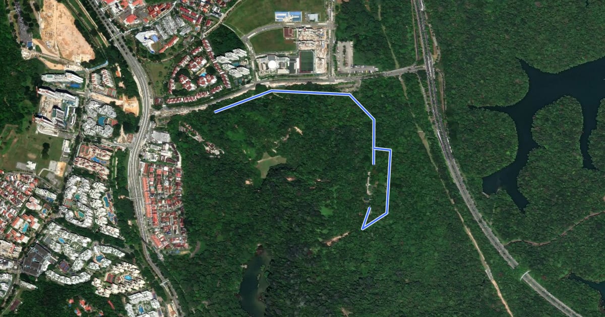 Маршрут Wallace Trail на спутниковом снимке