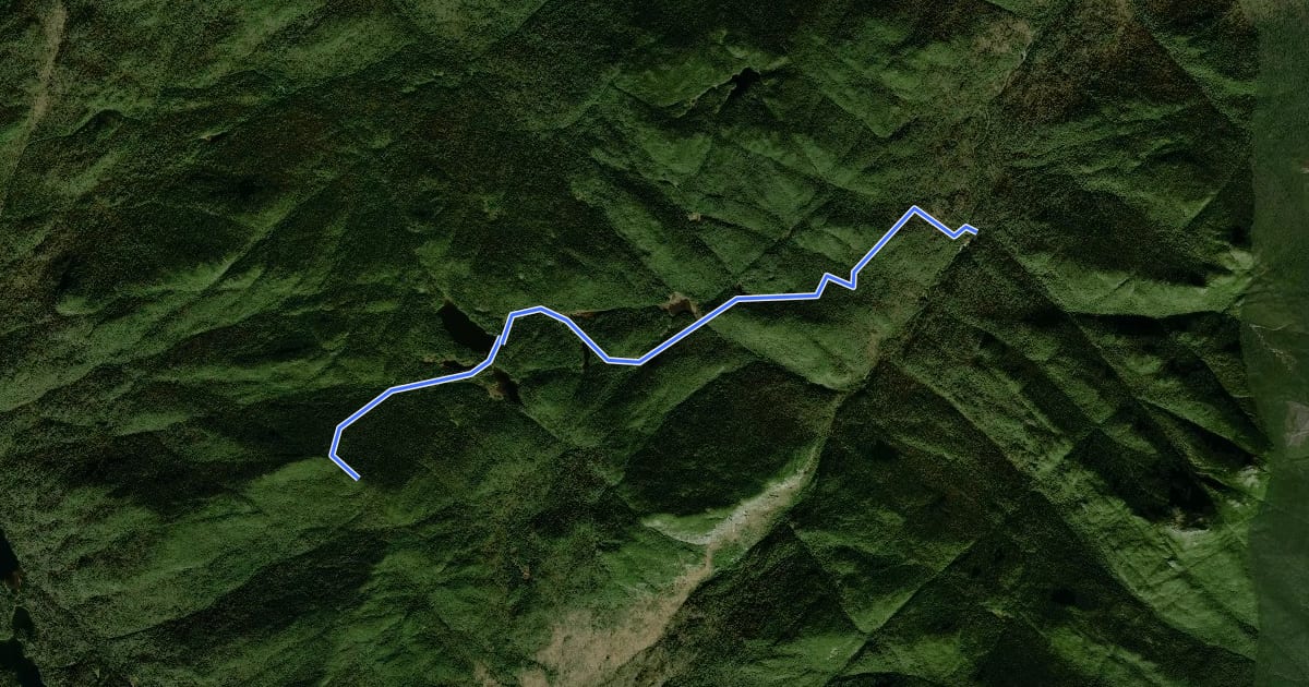 Маршрут Wallface Ponds Trail на спутниковом снимке