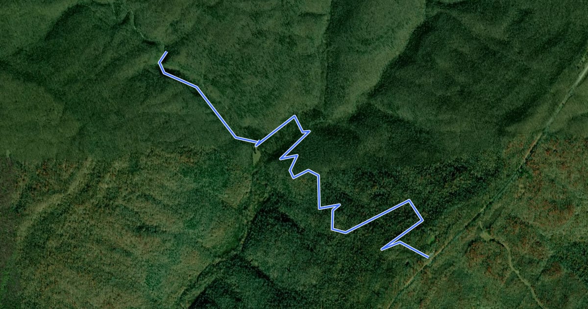 Маршрут Walls Of Jericho Trail на спутниковом снимке