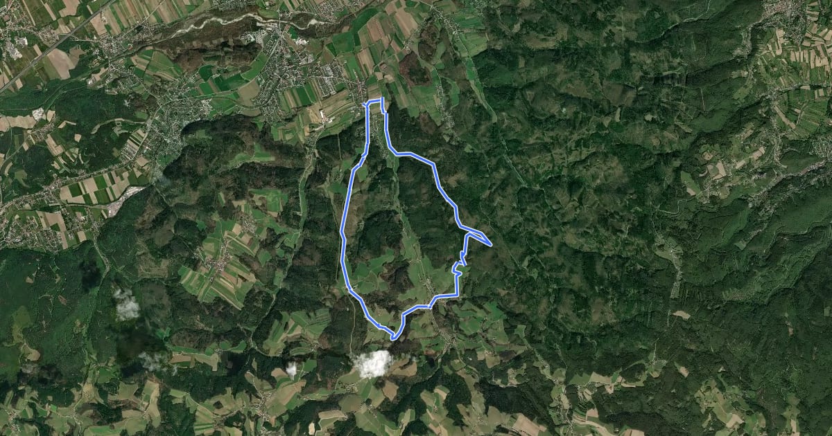 Маршрут Walpersbacher Rundwanderweg WB1 на спутниковом снимке