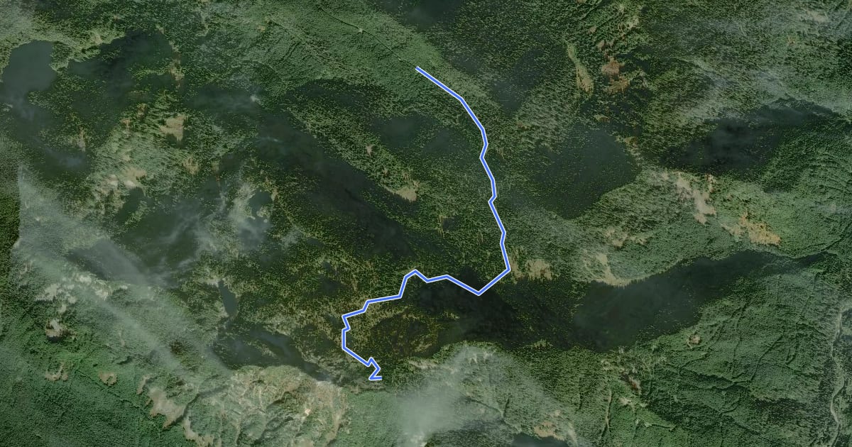 Маршрут Walt Bailey Trail на спутниковом снимке