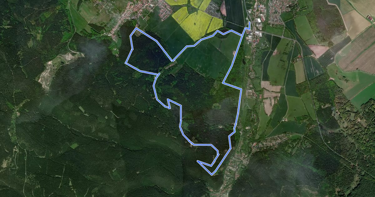 Маршрут Walter Schütz Rundweg на спутниковом снимке