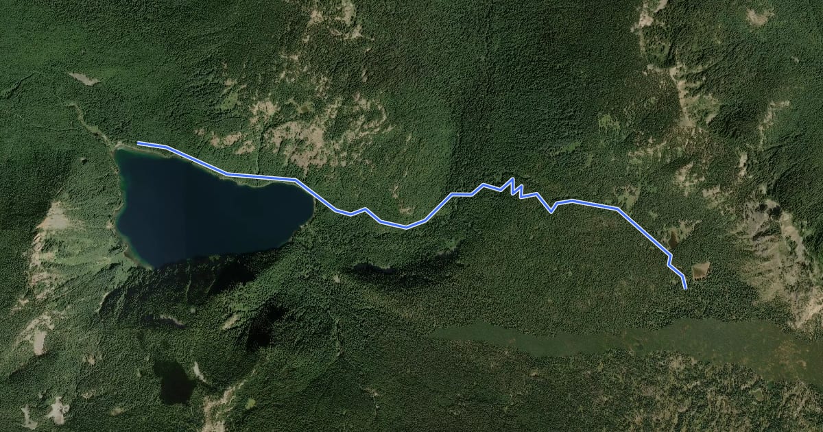 Маршрут Walupt Lake Trail #101 на спутниковом снимке