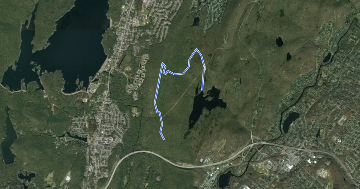Маршрут Wanaque Ridge Trail на спутниковом снимке