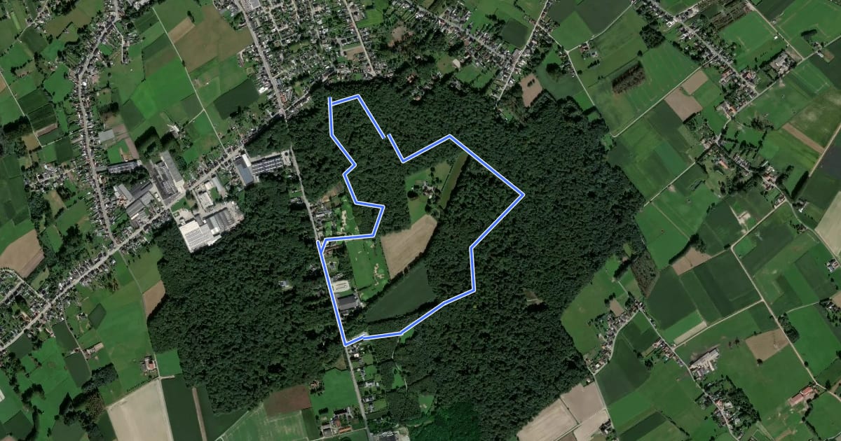 Маршрут Wandeling Konijnenberg на спутниковом снимке