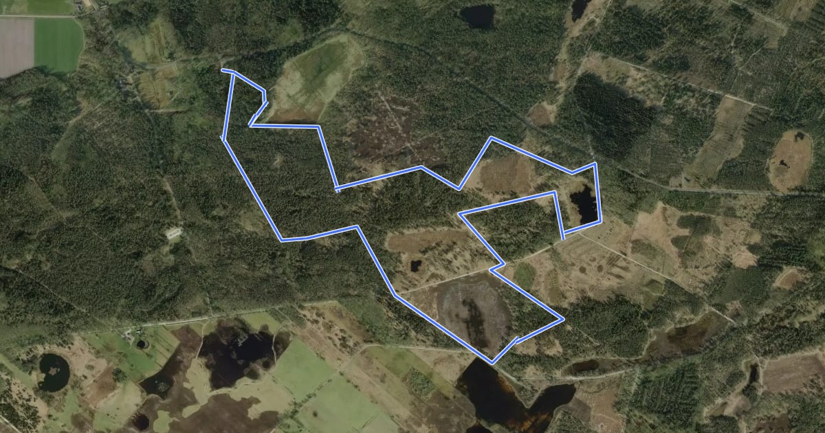 Маршрут Wandelroute Koelevaartsveen на спутниковом снимке