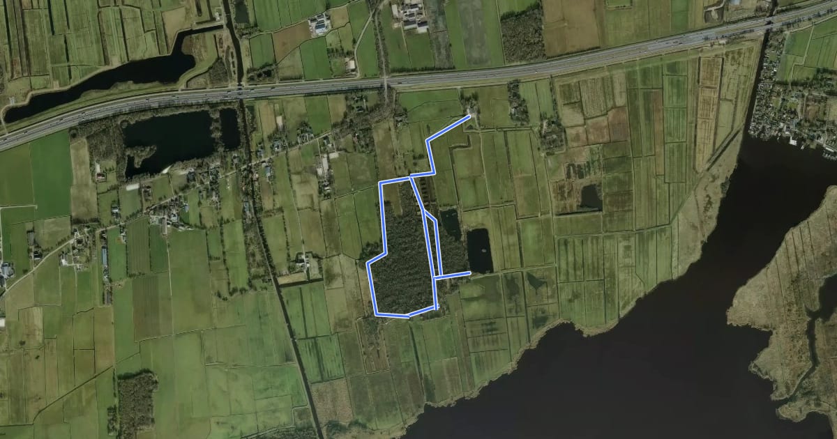 Маршрут Wandelroute Lettelberterpetten на спутниковом снимке