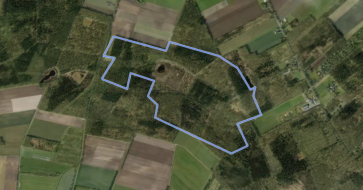 Маршрут Wandelroute Mieren на спутниковом снимке