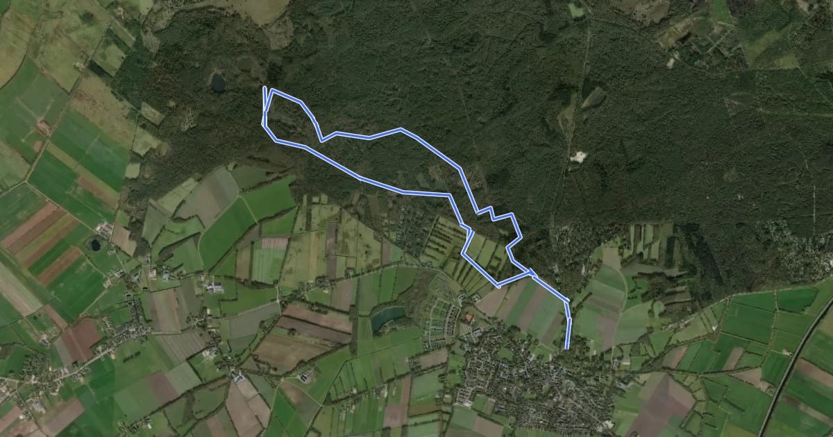 Маршрут Wandelroute Nationaal Park Drents-Friese Wold, Diever на спутниковом снимке