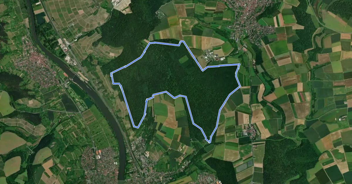 Маршрут WanderErlebnisRoute Veitshöchheim "Waldrunde" на спутниковом снимке