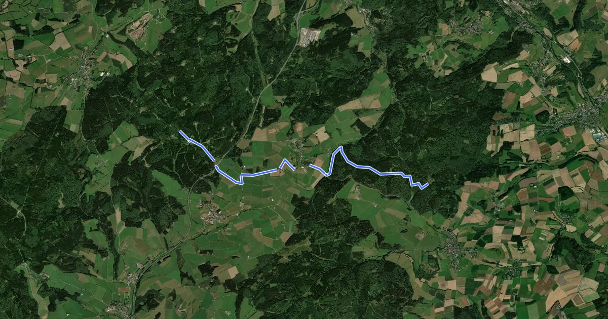 Маршрут wandern ohne Gepäck im oberen Prümtal на спутниковом снимке