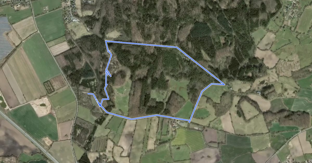 Маршрут Wanderroute 3: Eiche, Brekendorfer Forst на спутниковом снимке