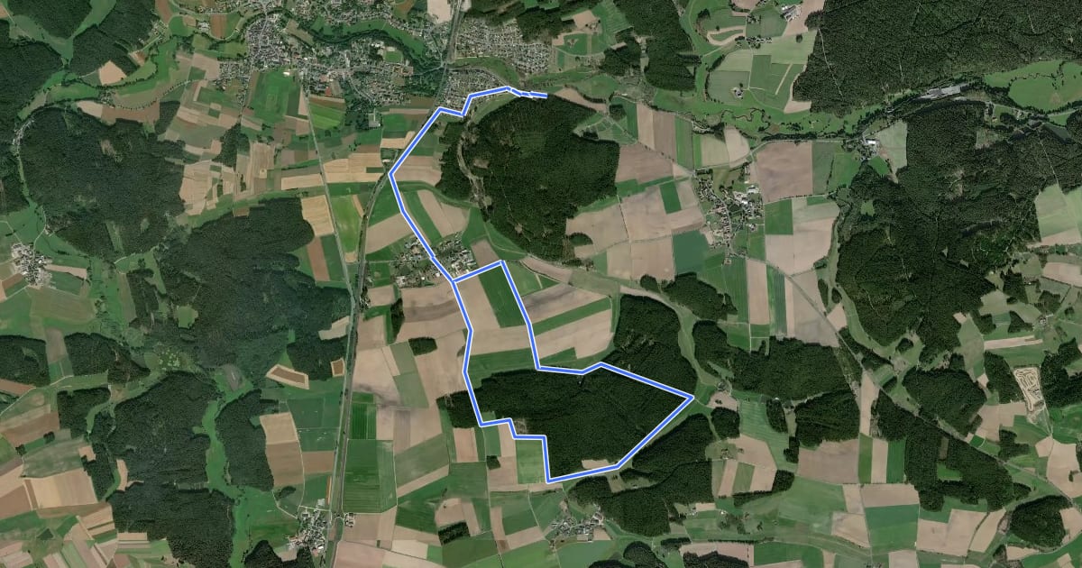 Маршрут Wanderroute 4 (Marktleuthen) на спутниковом снимке